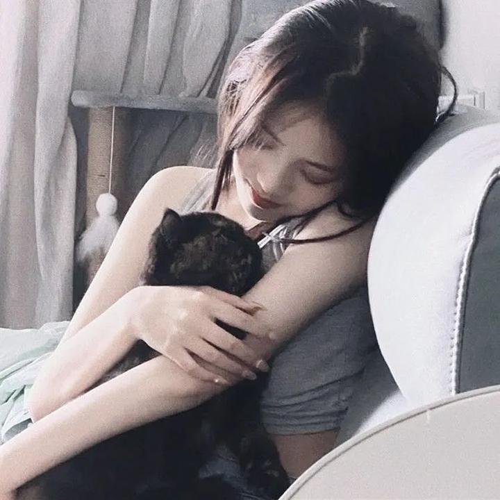 金车美人